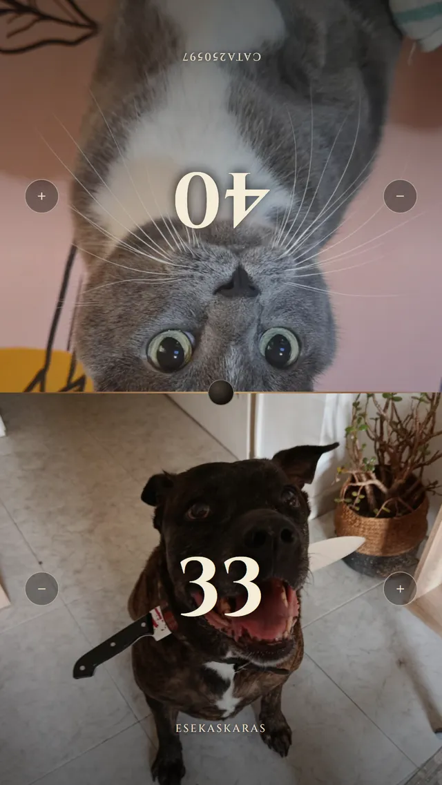 MagicNexus: el contador de vidas con la foto de un gato y la de un perro de fondo