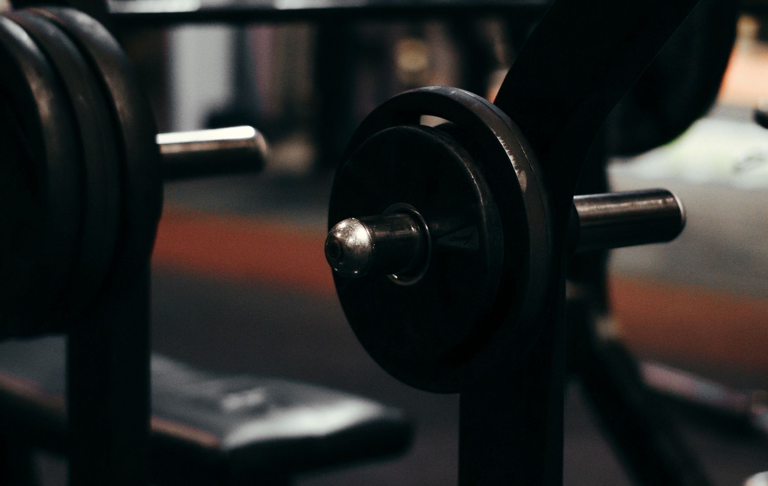 Pulse Fitness
